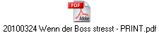 20100324 Wenn der Boss stresst - PRINT.pdf