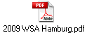 2009 WSA Hamburg.pdf